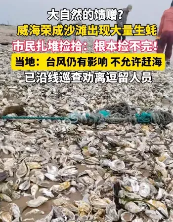 海蛎子用麻袋装