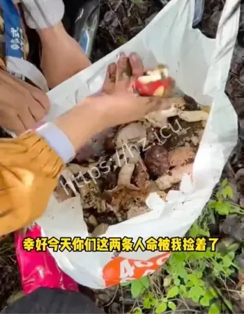 情侣采菌遇AI识别翻车